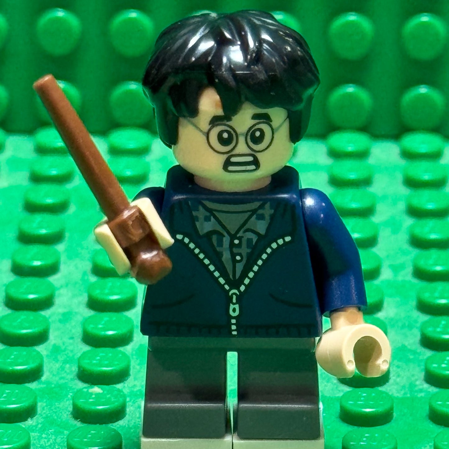 Harry Potter - LEGO 76434 Aragog in the Forbidden Forest