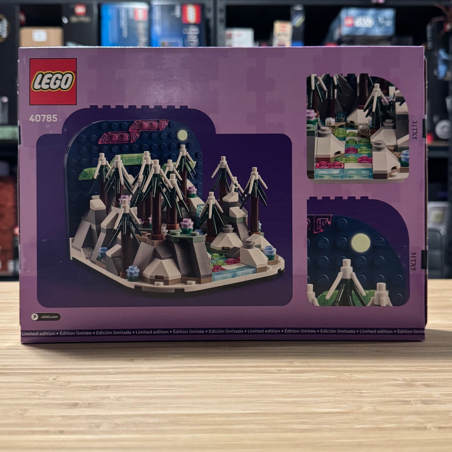 LEGO 40785 Northern Lights Diorama Exclusive GWP 2025 Aurora Display