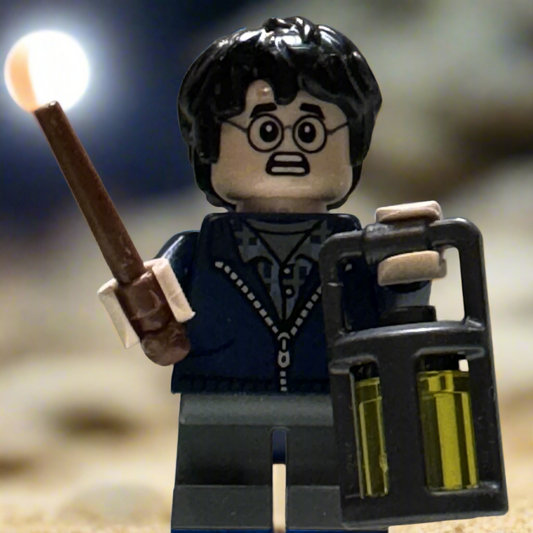 Harry Potter - LEGO 76434 Aragog in the Forbidden Forest