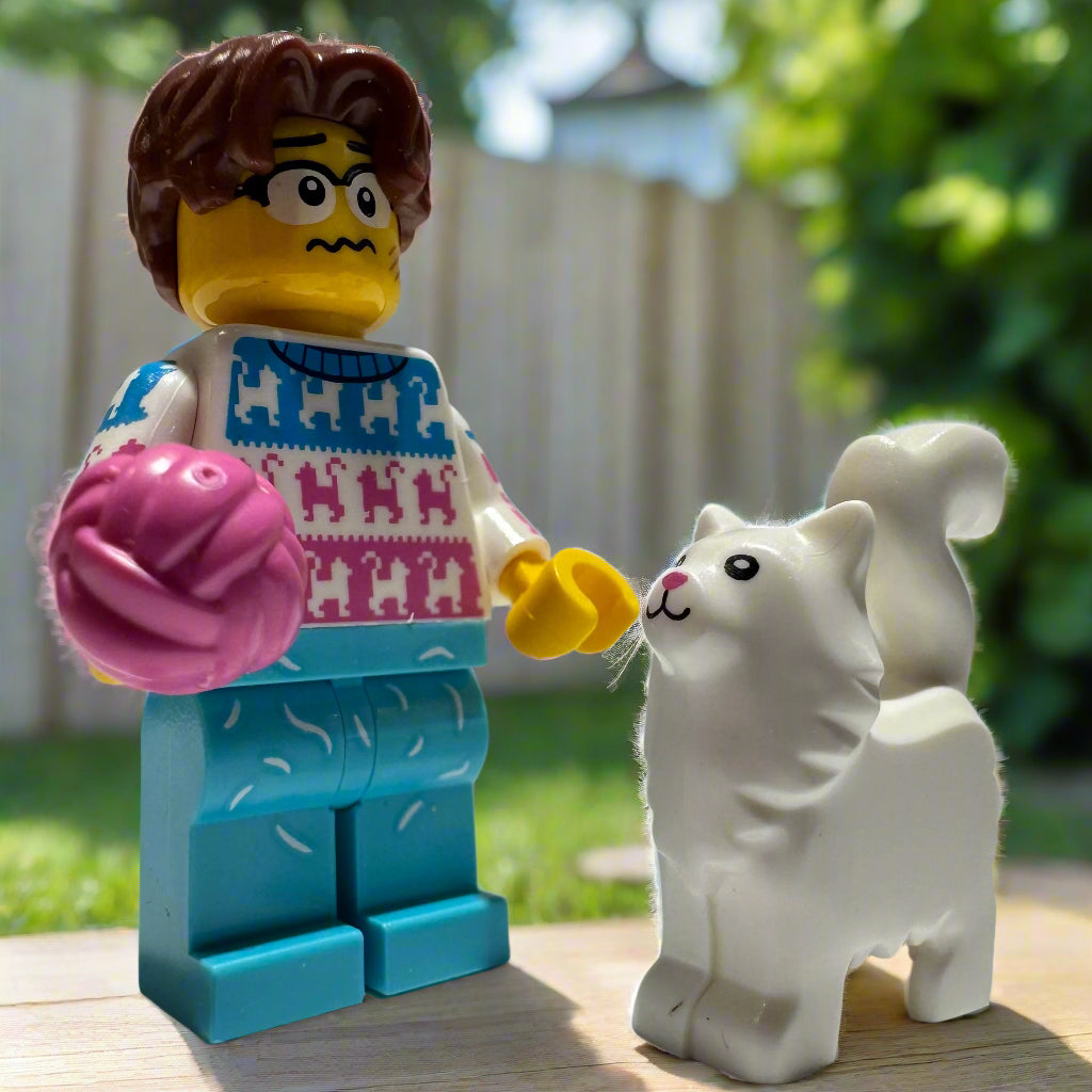 Cat Lover - LEGO 71048 Series 27
